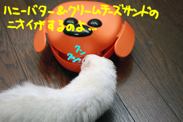 141128d.gif