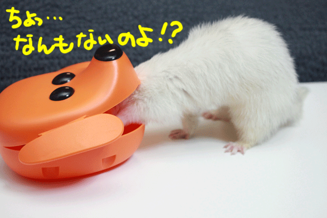141128e.gif