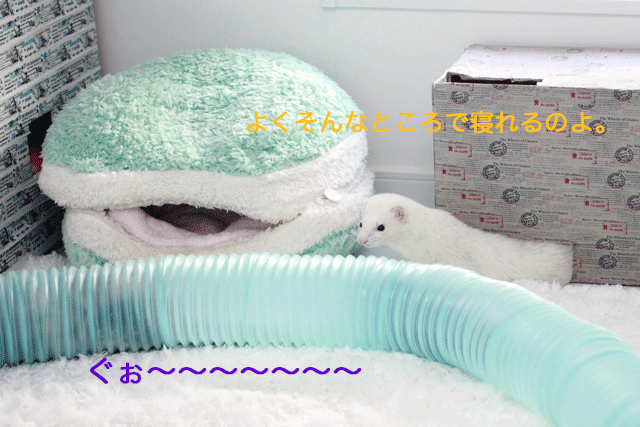 141130b.gif