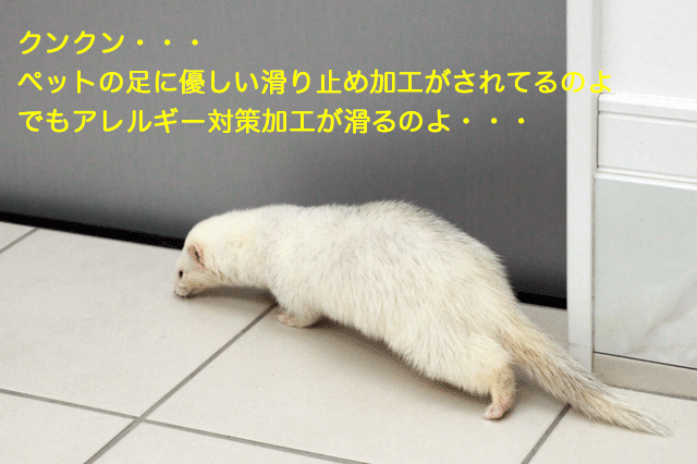 141130c.gif