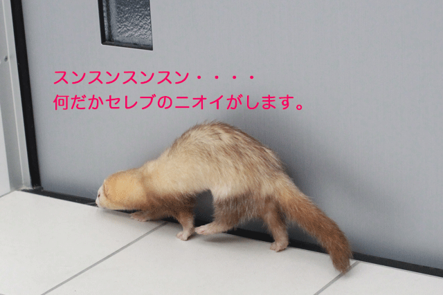141130d.gif