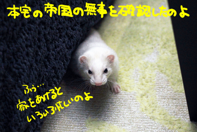 141201a.gif