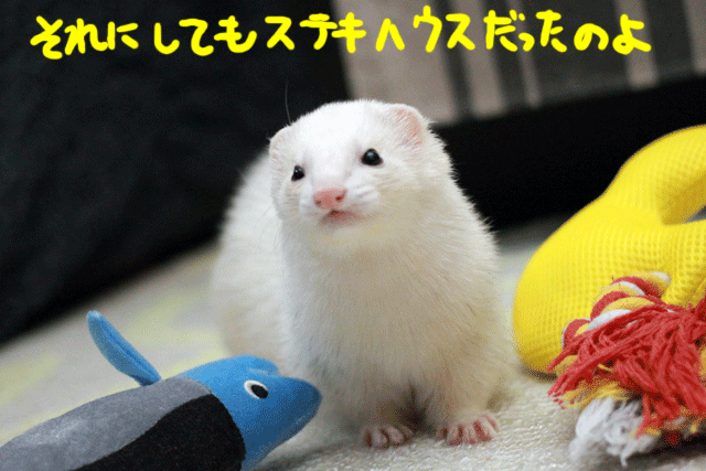 141201b.gif