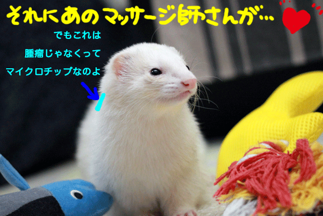 141201c.gif