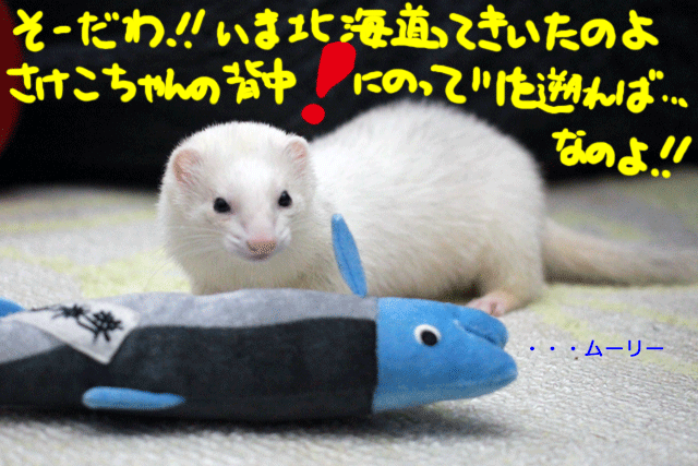 141201d.gif