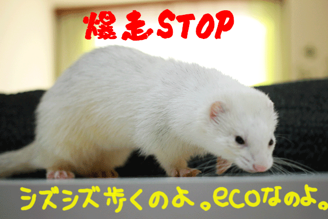 141202e.gif
