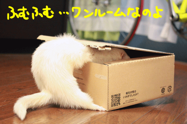 141204b.gif
