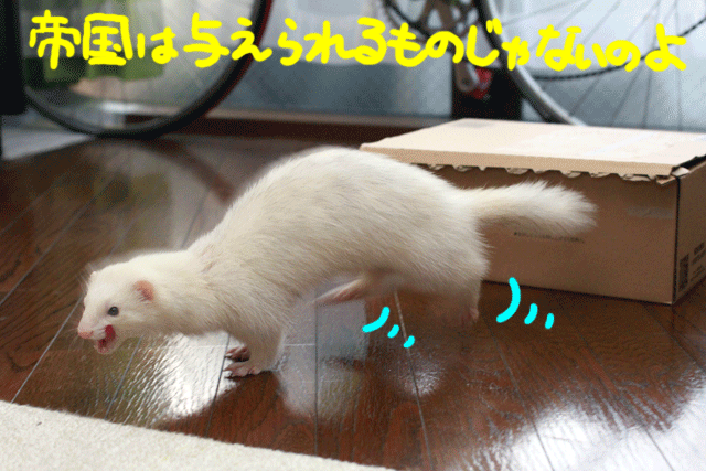 141204d.gif