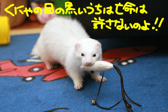 141205a.gif