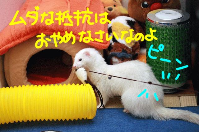 141205c.gif