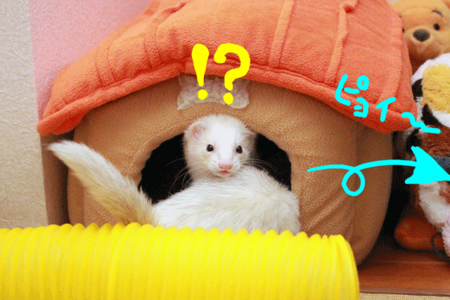 141205d.gif