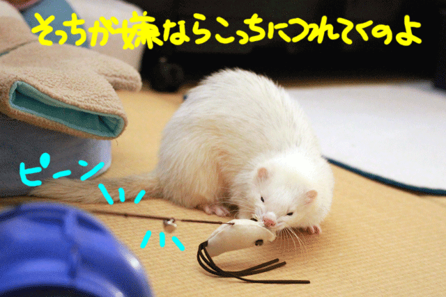 141205e.gif