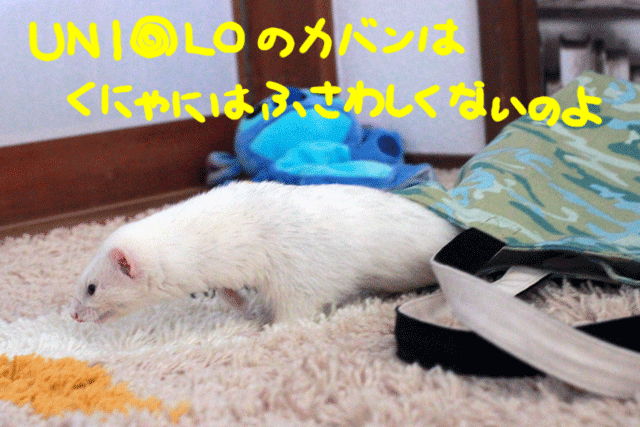 141206a.gif