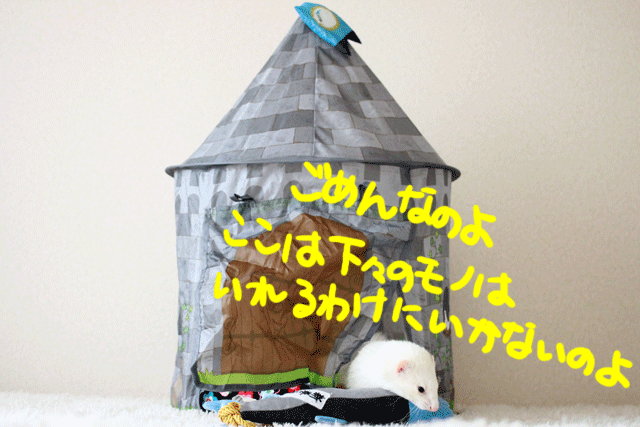 141206b.gif