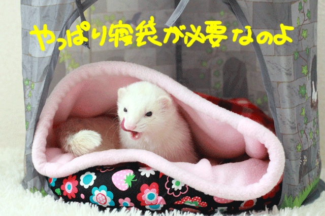 141206d.gif
