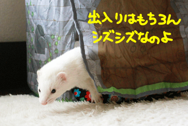 141206e.gif