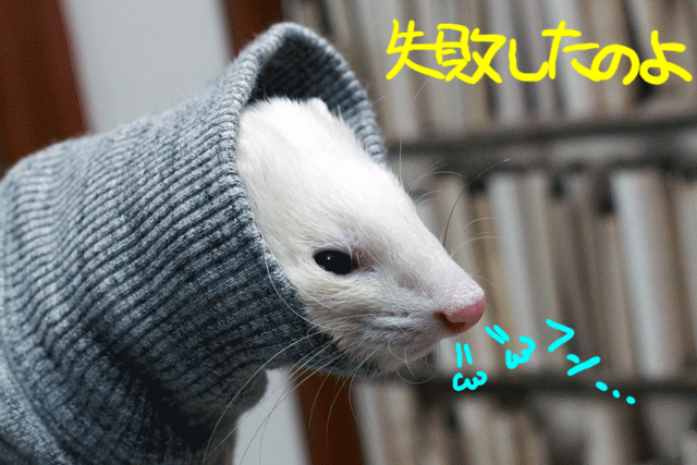 141207a.gif
