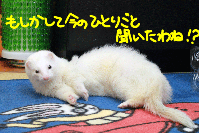 141209b.gif