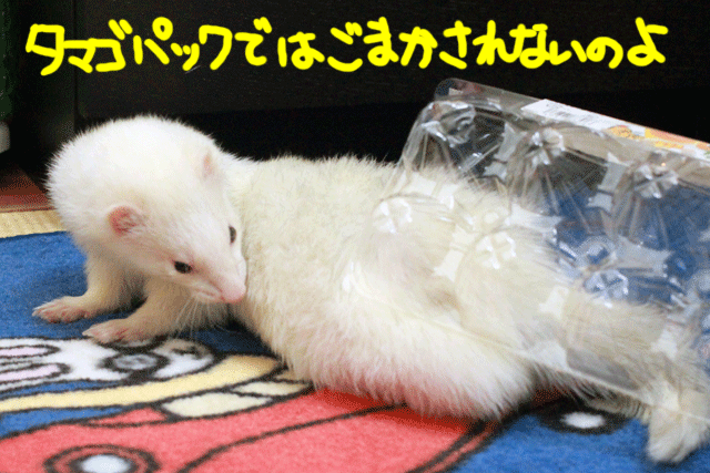 141209c.gif