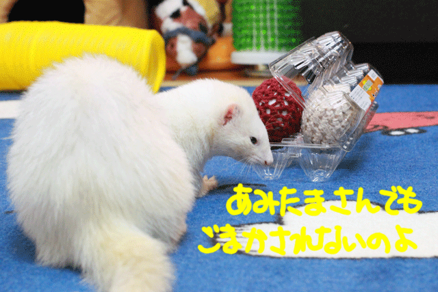 141209d.gif