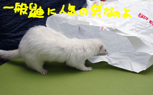 141210a.gif