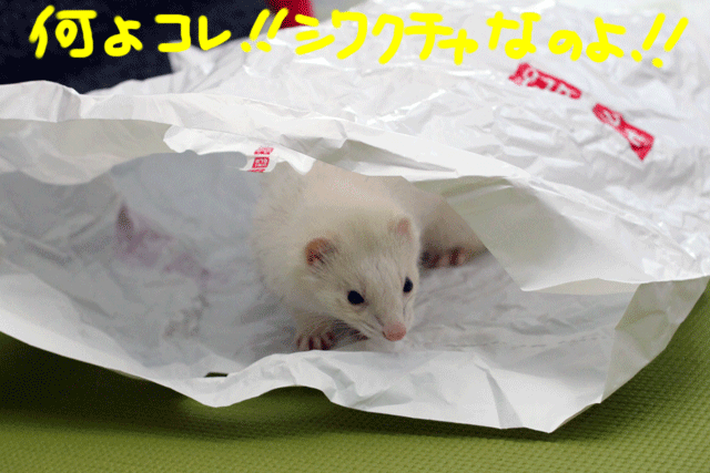 141210b.gif