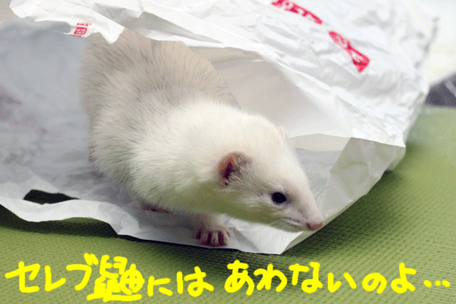 141210c.gif