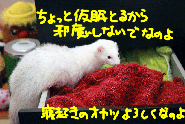 141210e.gif