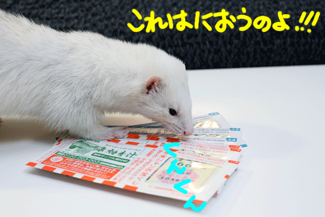 141212b.gif