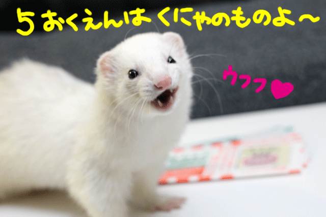 141212e.gif