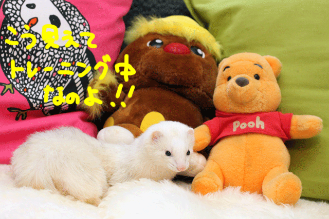 141213a.gif