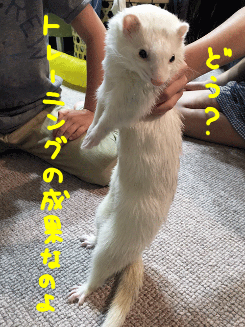141213b.gif