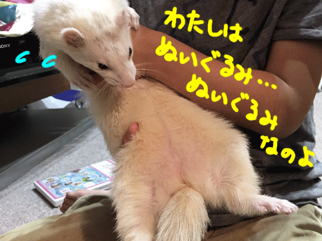 141213c.gif