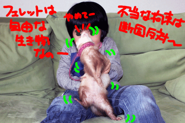 141213d.gif
