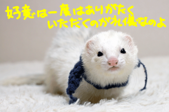 141213e.gif