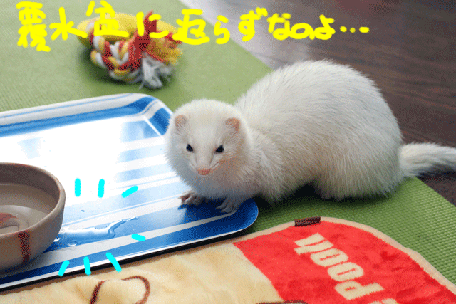 141215a.gif