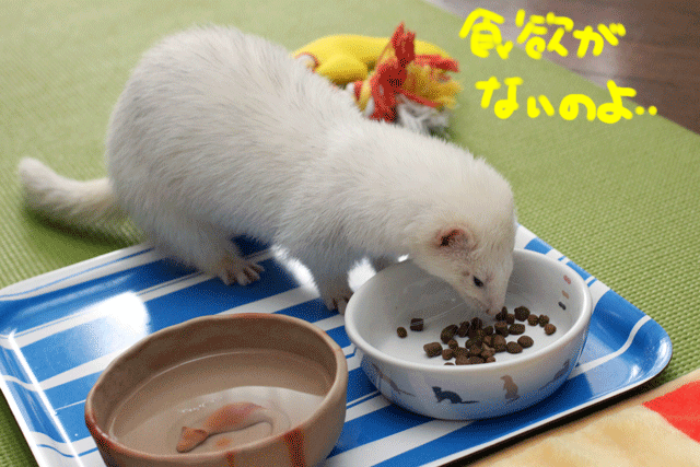 141215b.gif