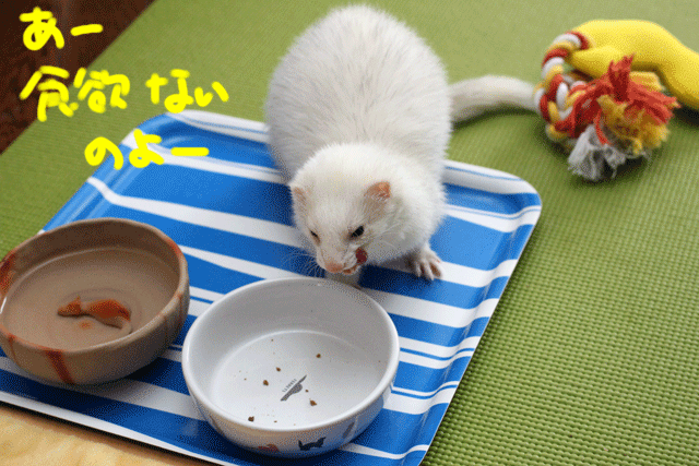 141215c.gif