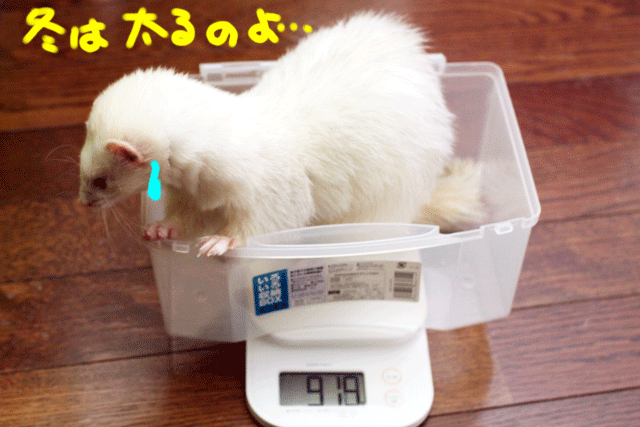 141215d.gif