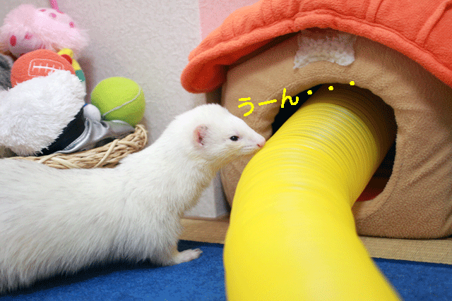 141216a.gif