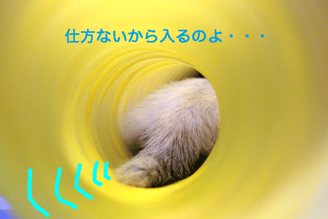 141216c.gif