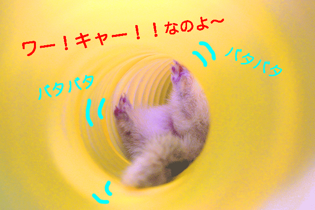 141216d.gif