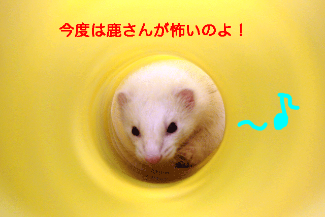 141216e.gif