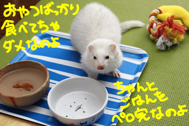141217b.gif