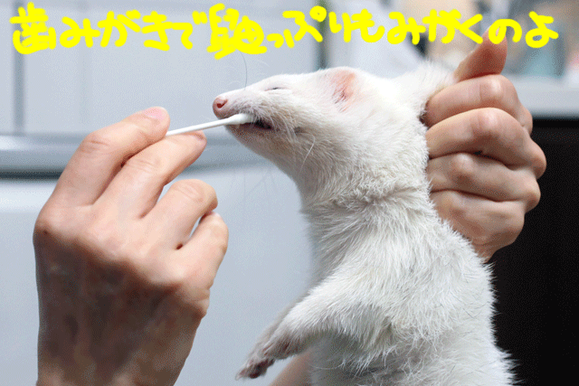 141217c.gif