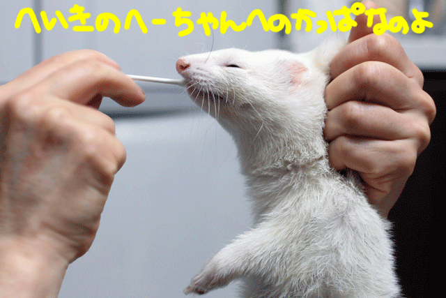 141217d.gif