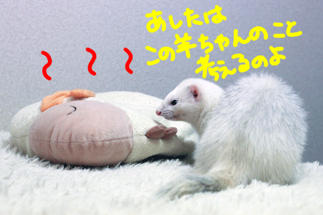 141217e.gif