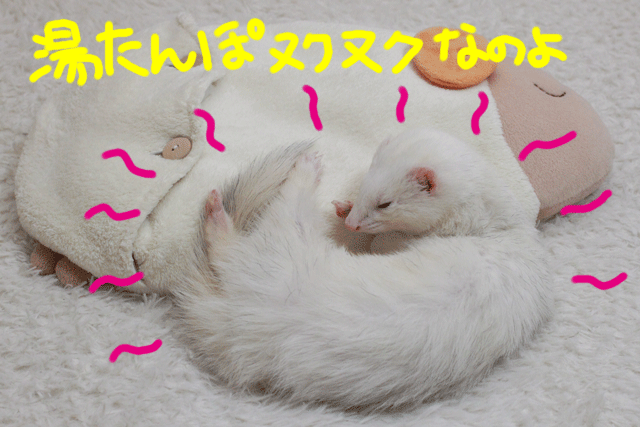 141218b.gif