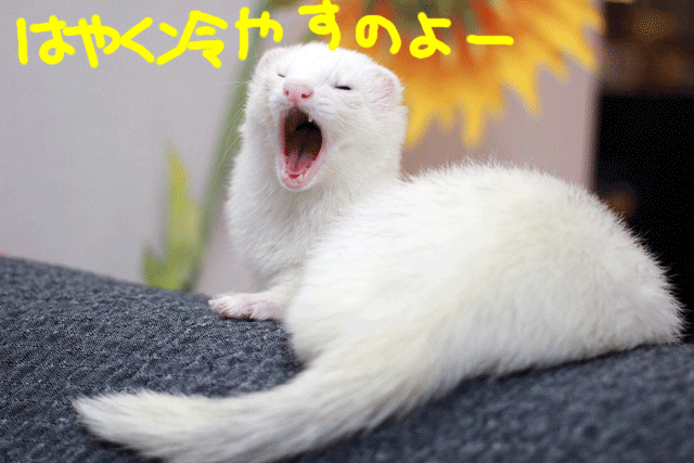 141218c.gif