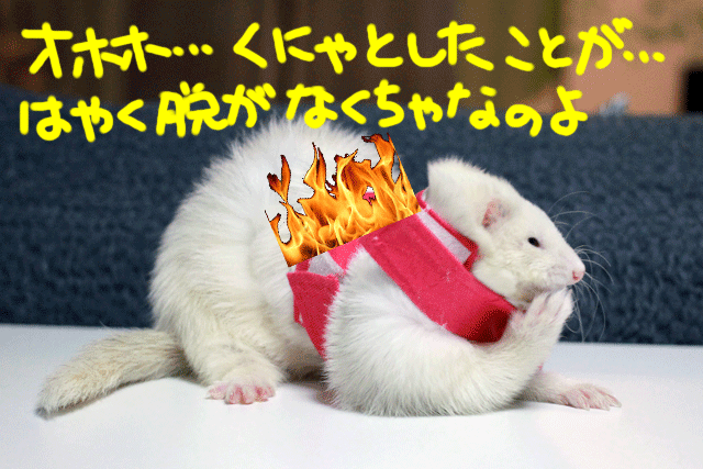 141218d.gif